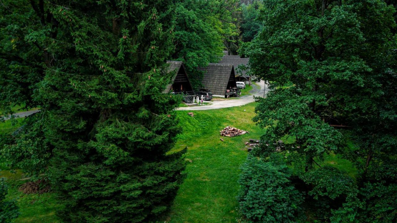 Villa Leśny Dwór Janowice Wielkie Exterior foto